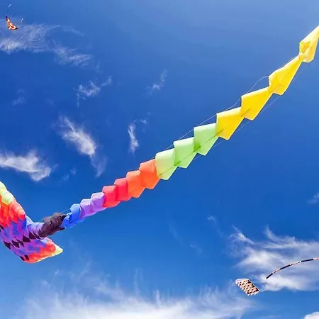 Luxurious, Spacious Apartment, Sauna Included Appartamento